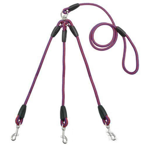 Triple Dog Leash