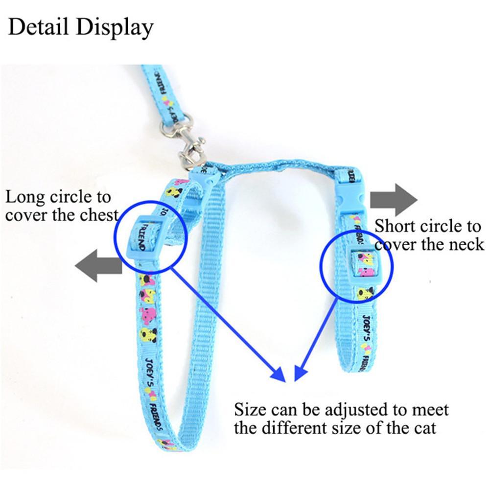 Cat Leash Multi-Design Selection