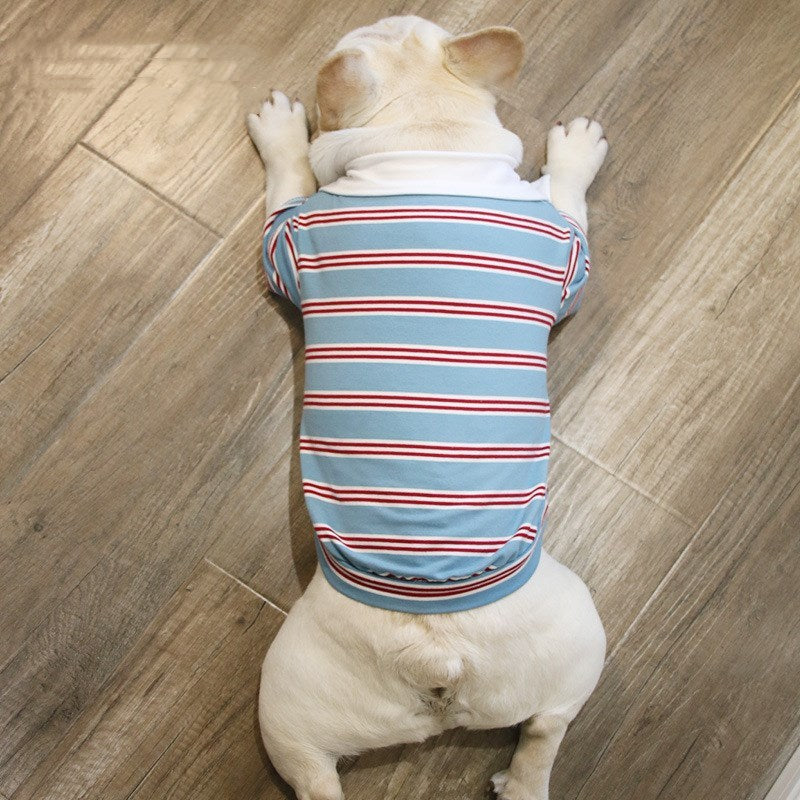 Corgi Dog Summer POLO