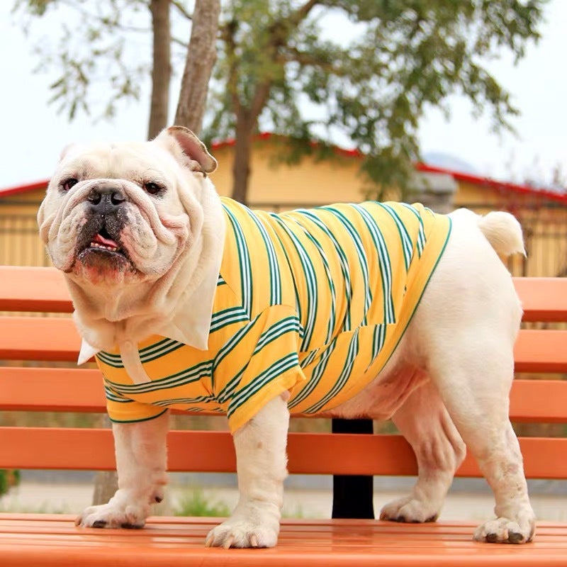Corgi Dog Summer POLO