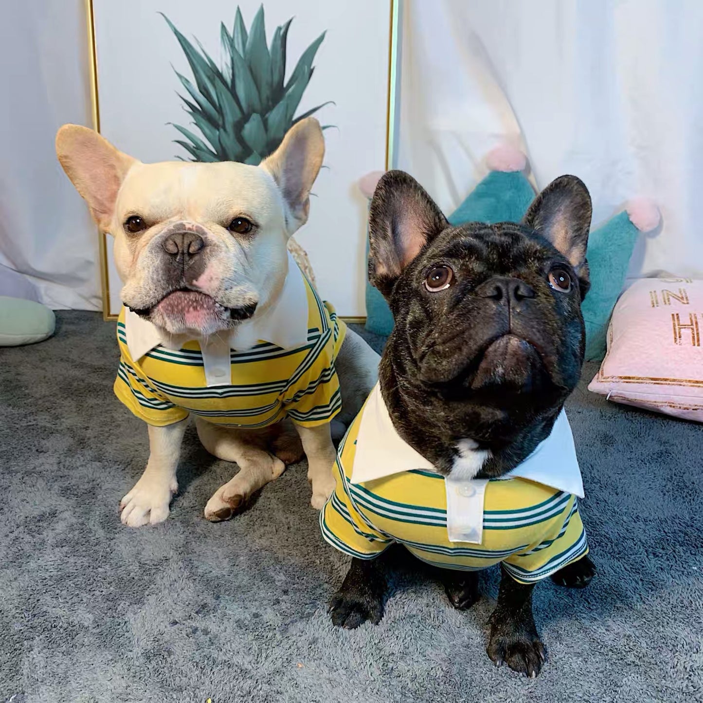 Corgi Dog Summer POLO