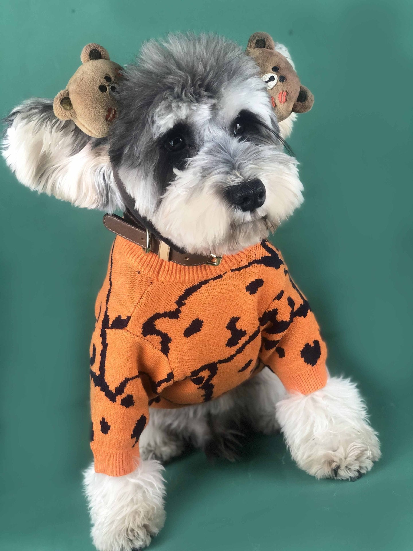 Stylish Dog Sweaters