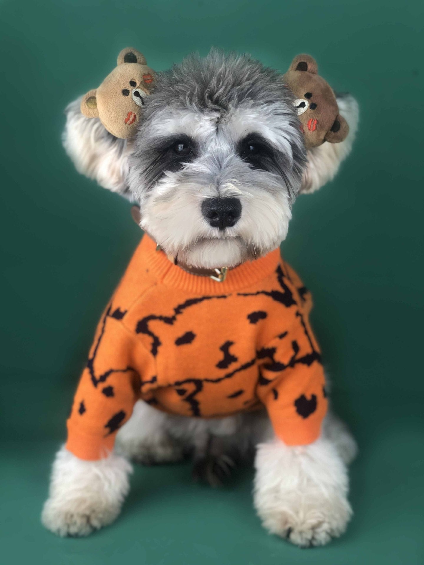 Stylish Dog Sweaters