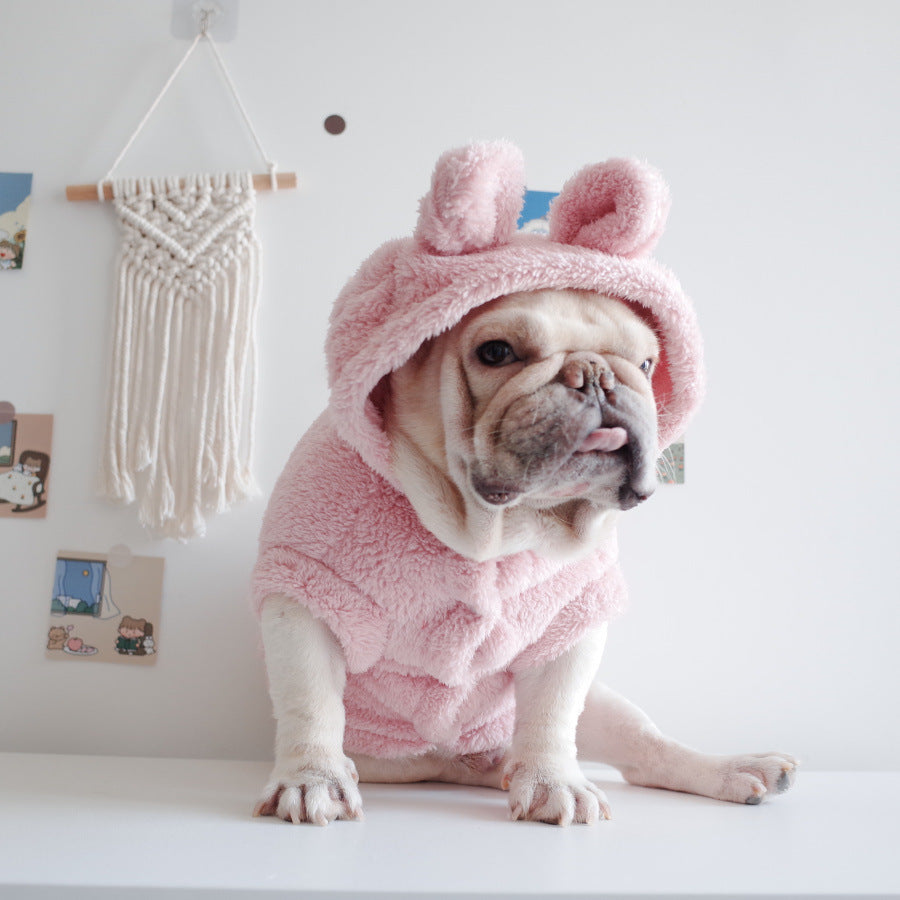 Pet Cartoon Hooded Apparel
