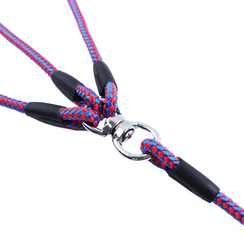 Triple Dog Leash
