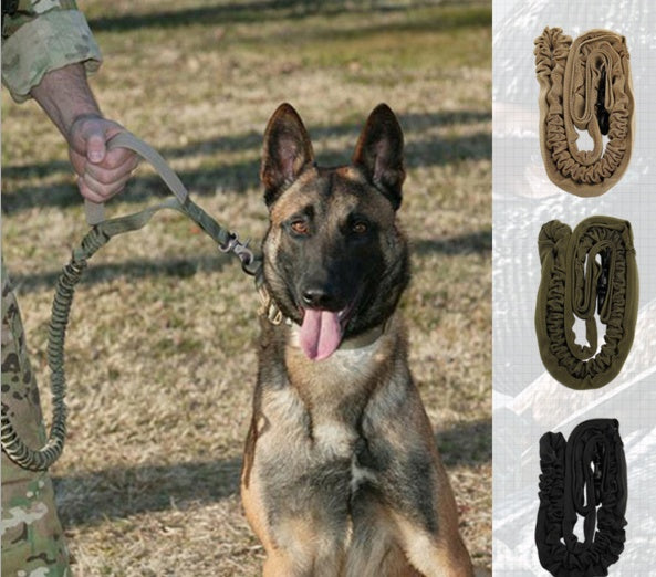 Military Dog Leash
