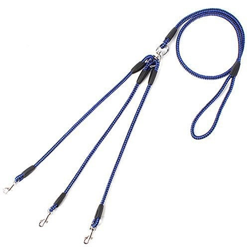 Triple Dog Leash