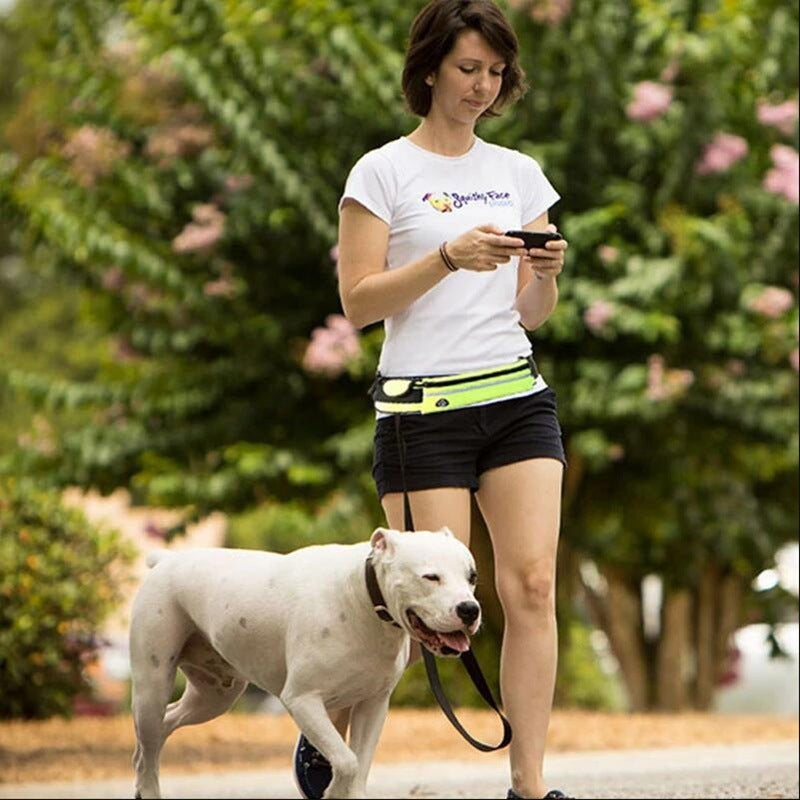 Hands Free Dog Walking Pet Leash