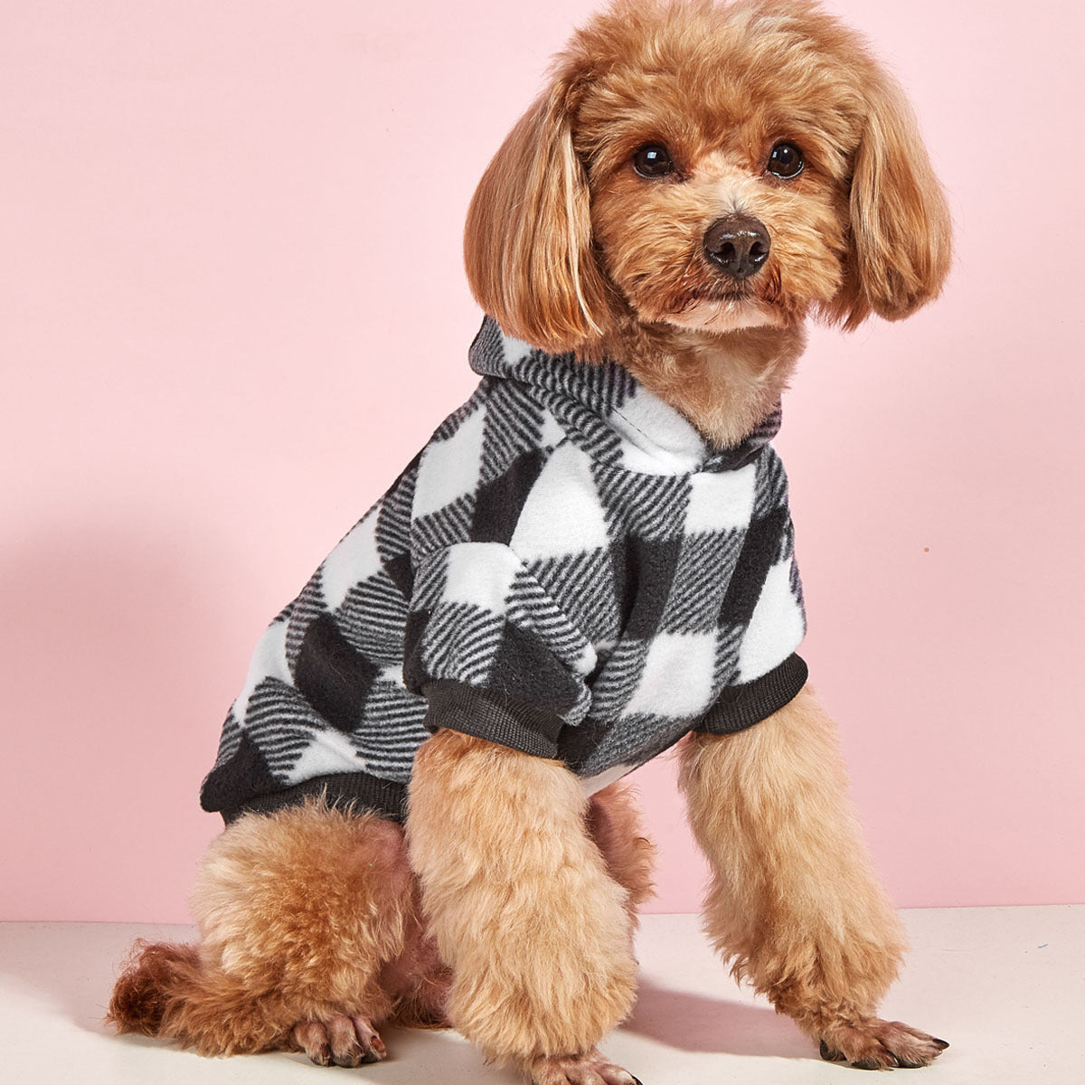 Warm Anti-Lint Dog Hoodie