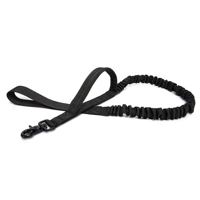 Military Dog Leash