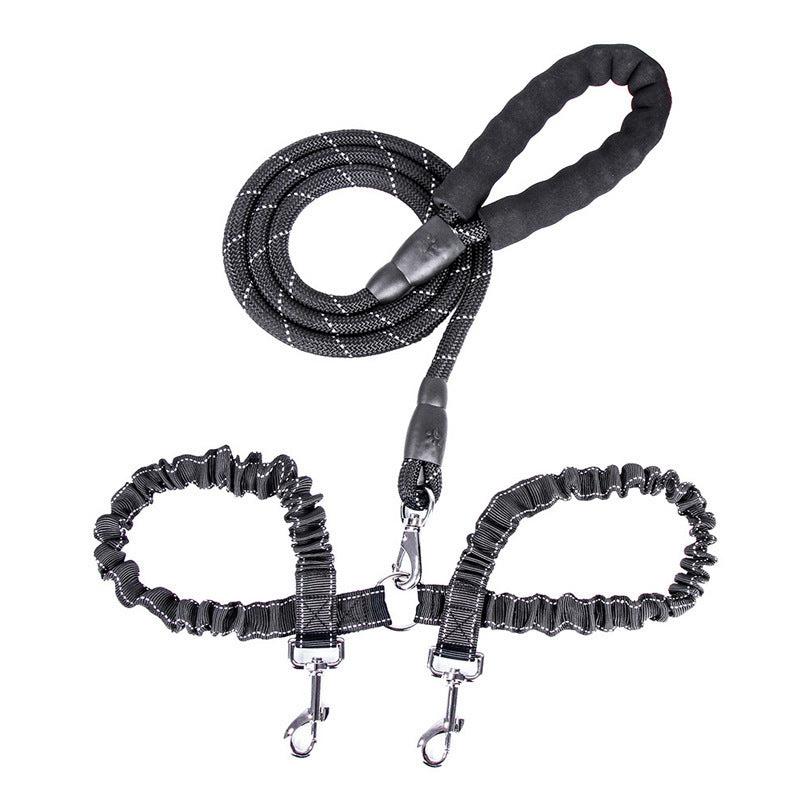 Double Dog Leash