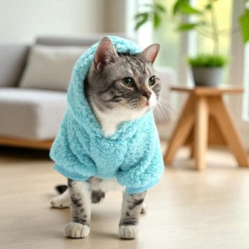 Cotton Fleece Solid Color Cat Sweater