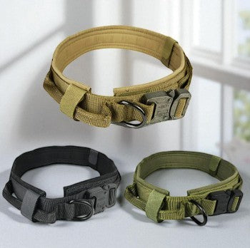 Military Dog Collar
