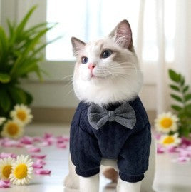 Warm Navy Blue Bow Tie Cat Sweater