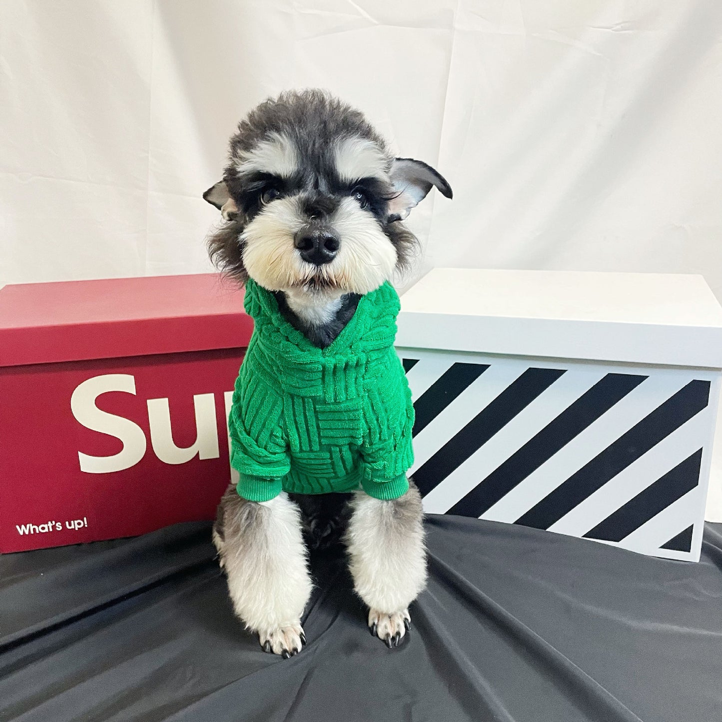 Green Terry Sweater Hoodie Fashion