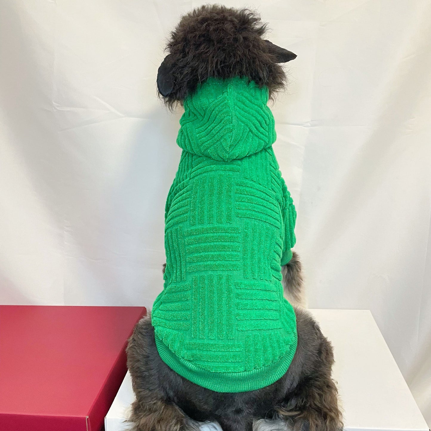Green Terry Sweater Hoodie Fashion