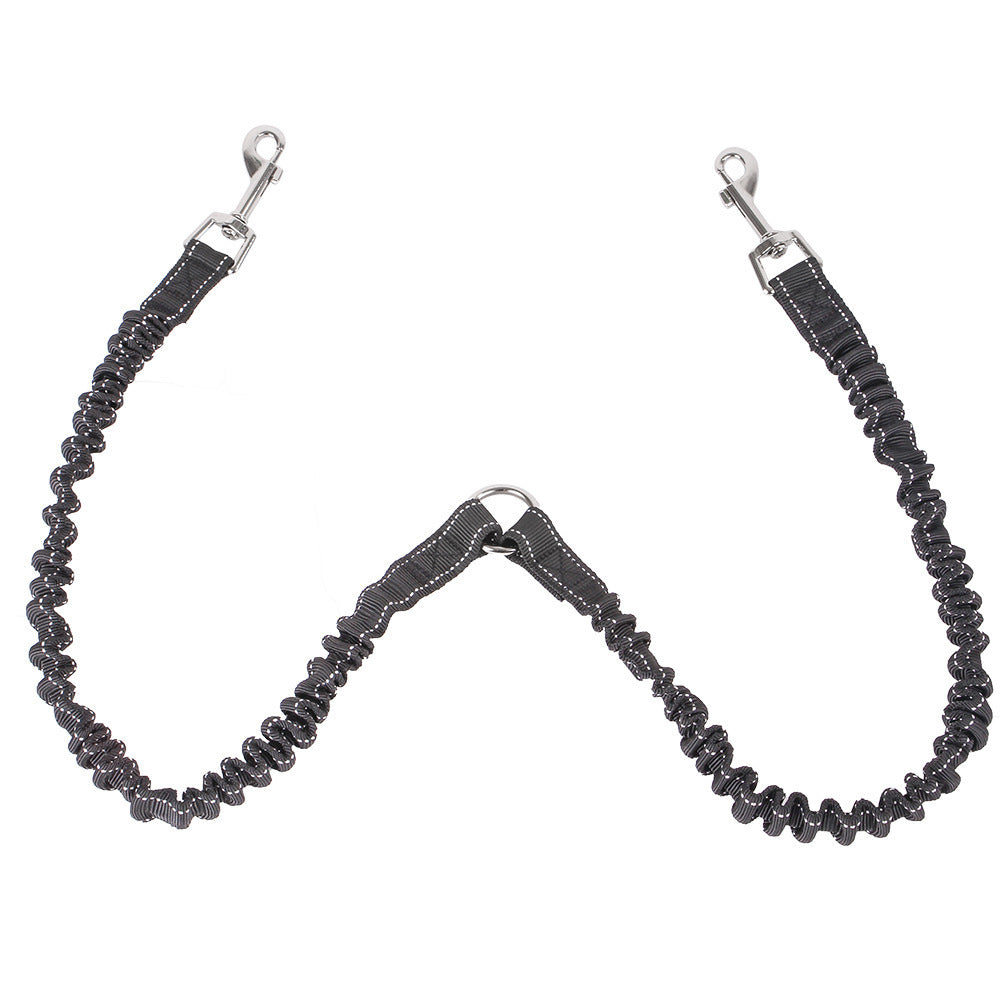 Double Dog Leash
