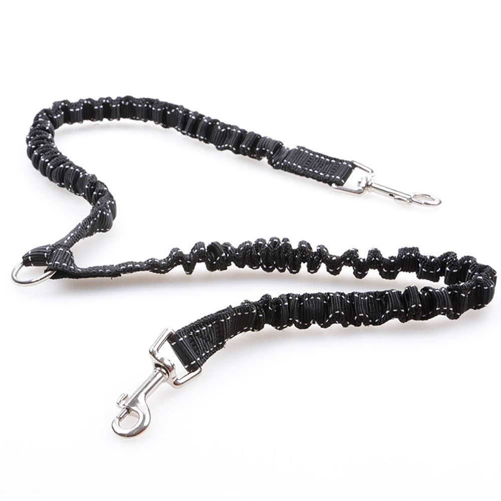 Double Dog Leash