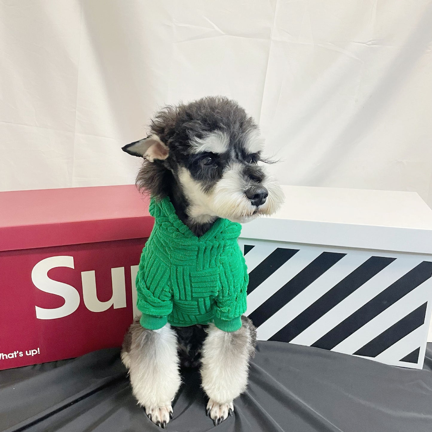 Green Terry Sweater Hoodie Fashion
