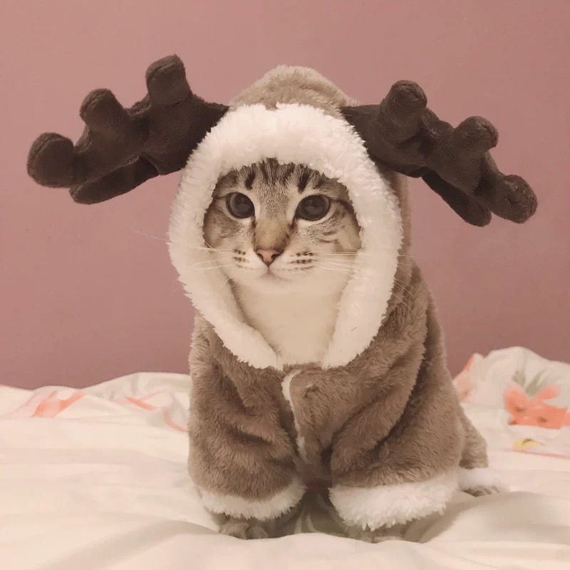 Cat Elk Costume