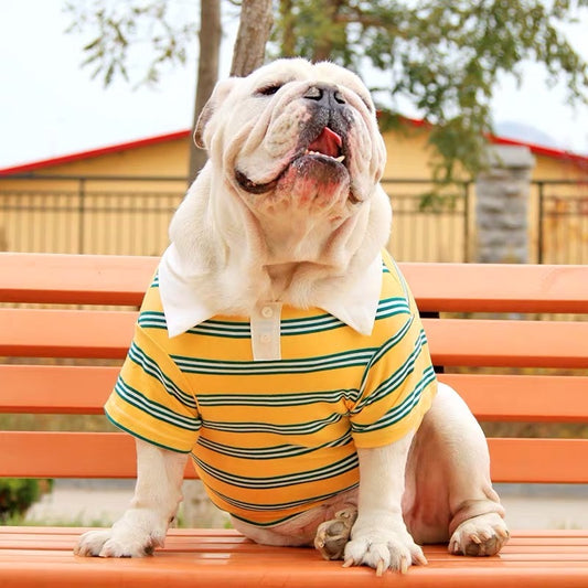 Corgi Dog Summer POLO