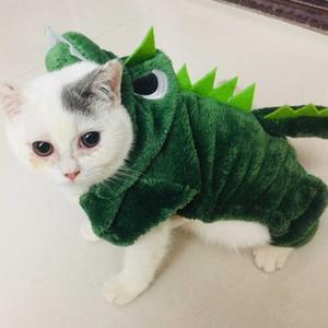 Tyrannosaurus Rex Hooded Pet Costume