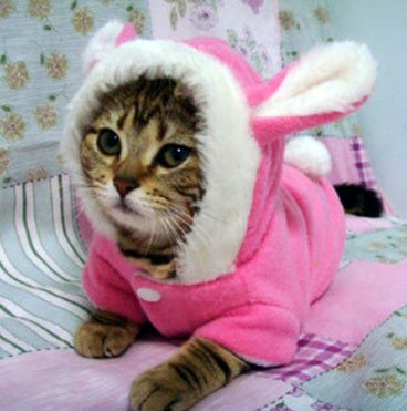 Cat Bunny Sweater