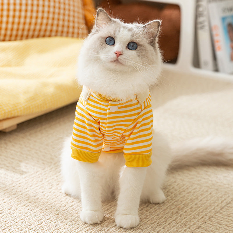 Thin Cat Pattern Sweater