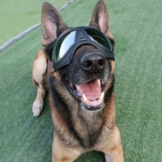 Dog Glasses Waterproof Snow Goggles