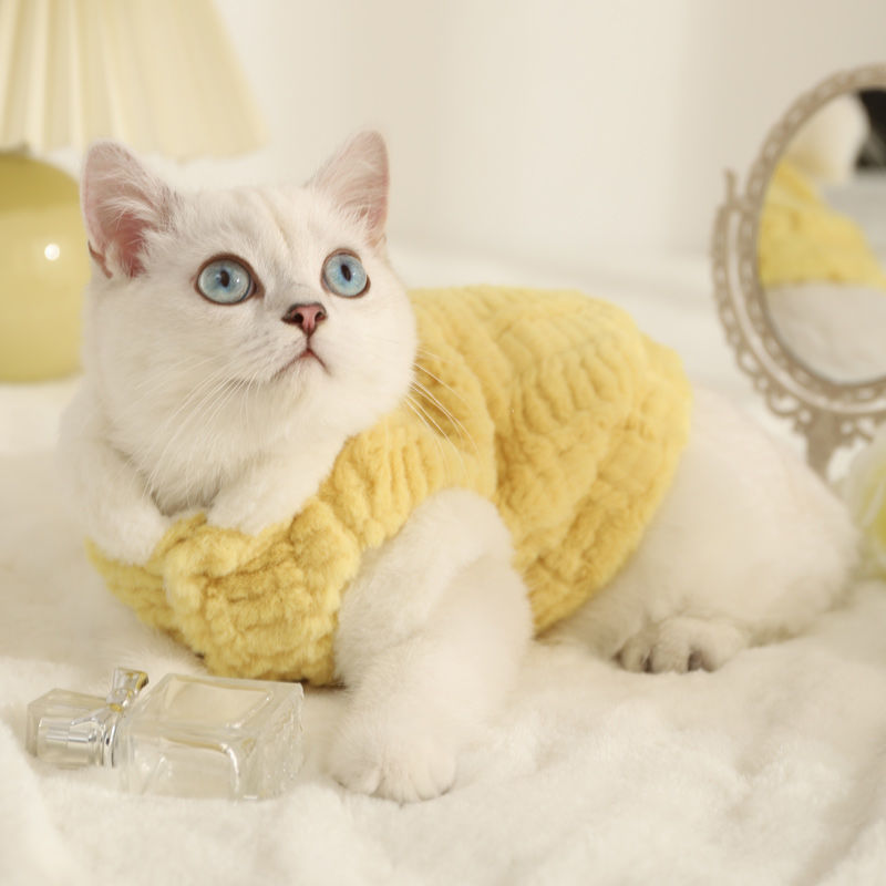 Warm Cat Cloth Sweater