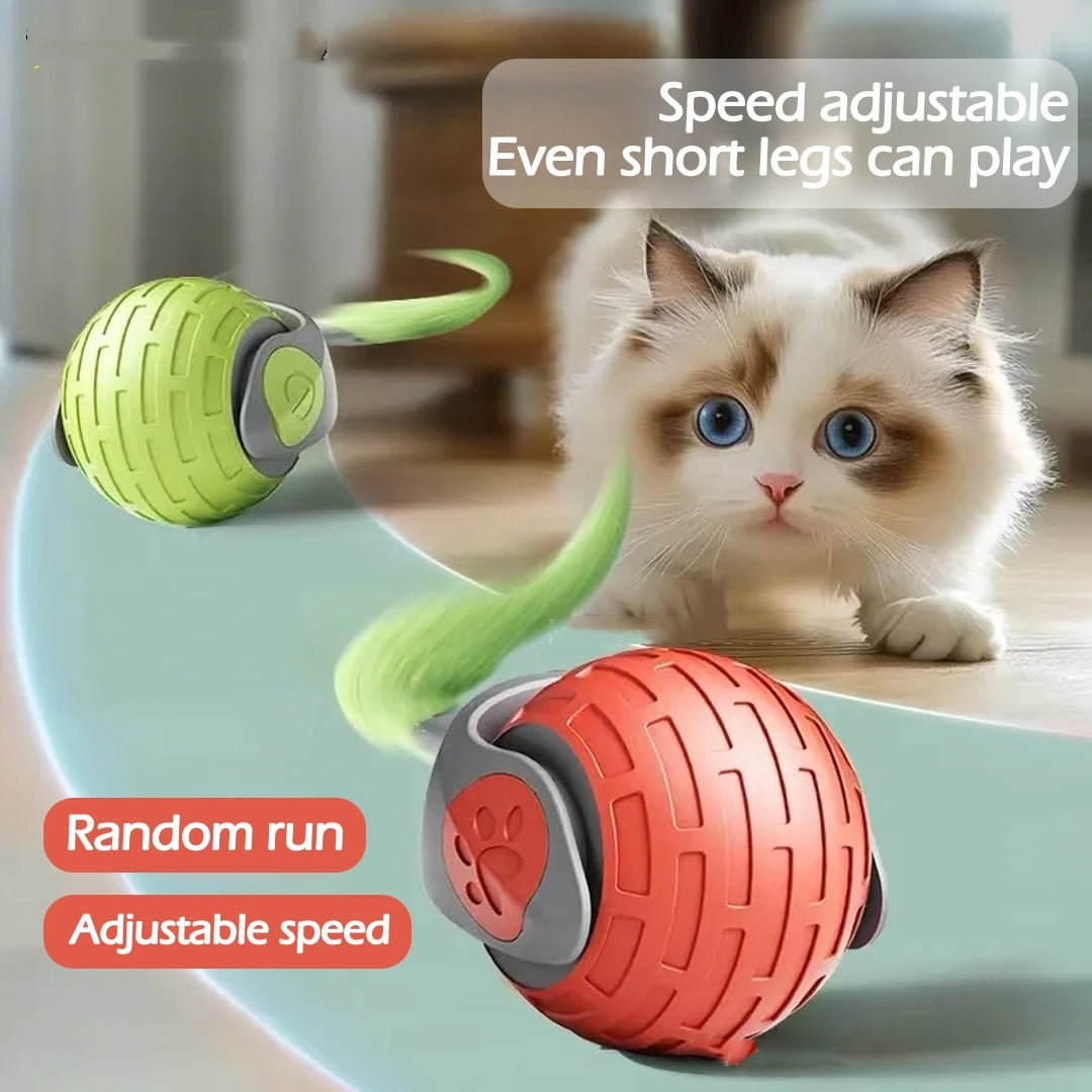 Interactive Auto Electric Rolling Cat Toy Ball