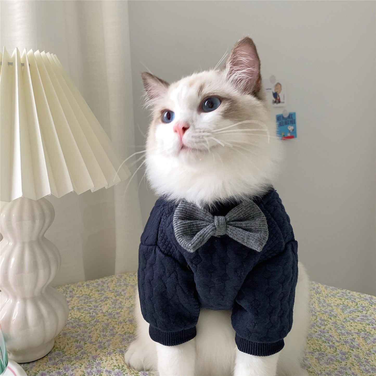 Warm Navy Blue Bow Tie Cat Sweater