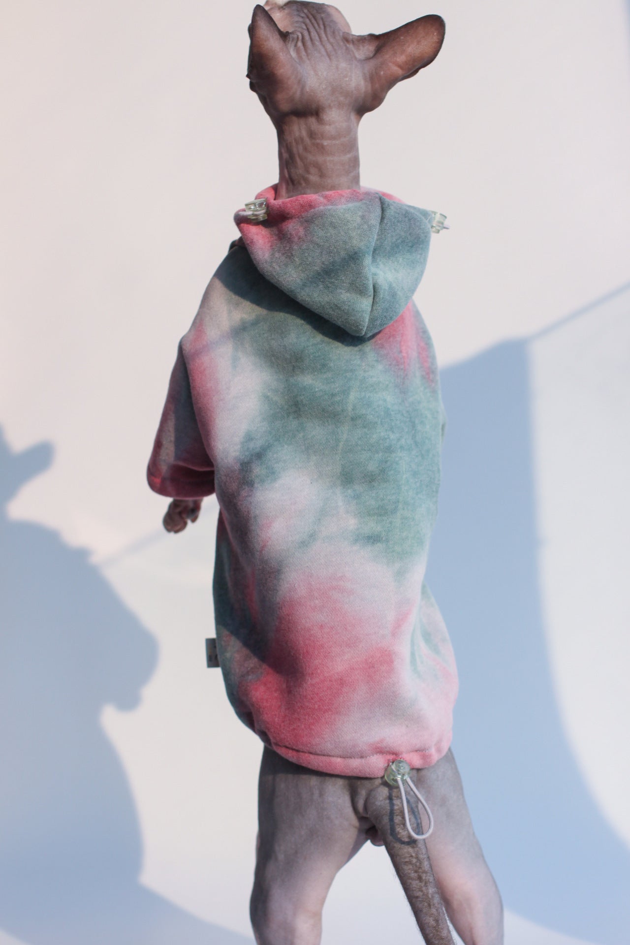 Cat Plus Velvet Thick Tie-Dye Hooded Sweater