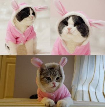 Cat Bunny Sweater