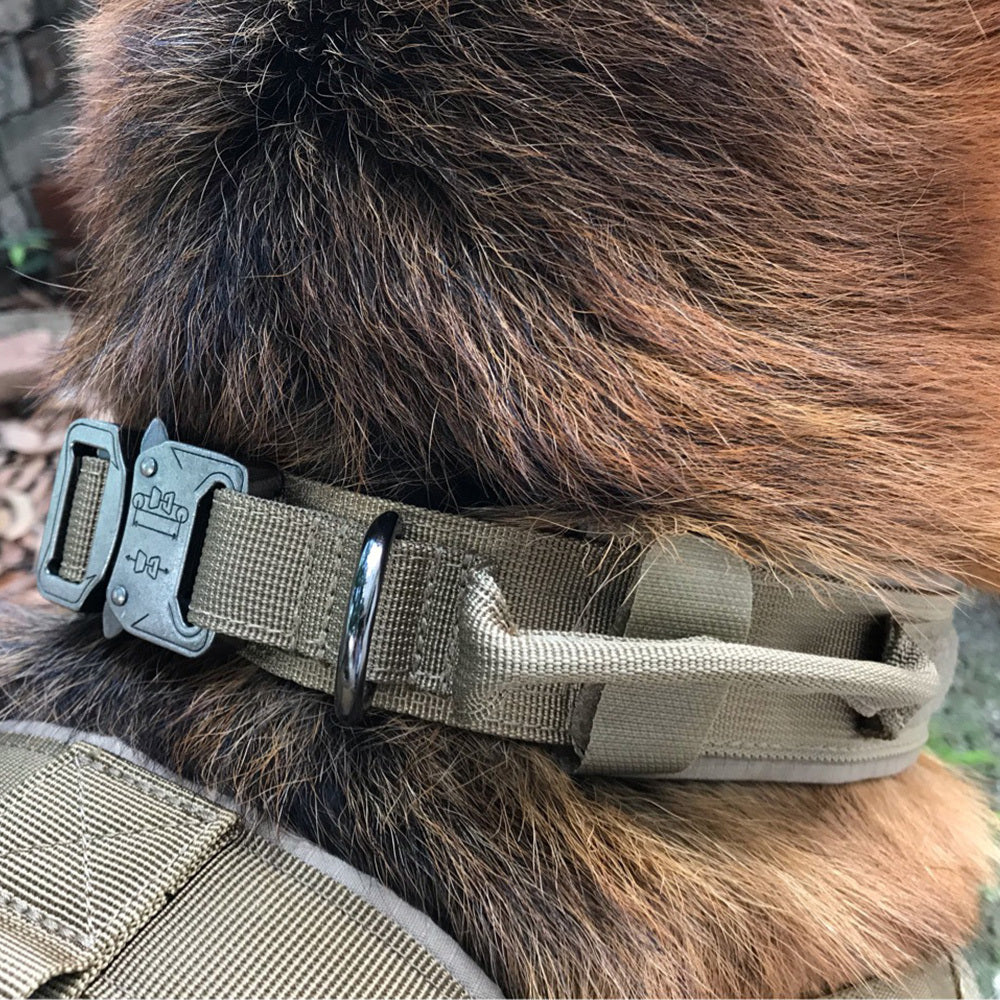 Military Dog Collar