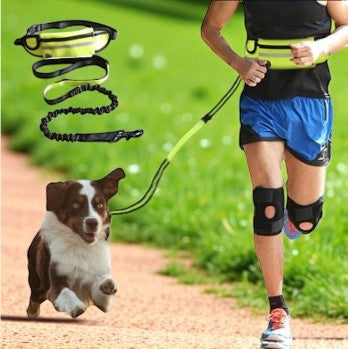 Hands Free Dog Walking Pet Leash