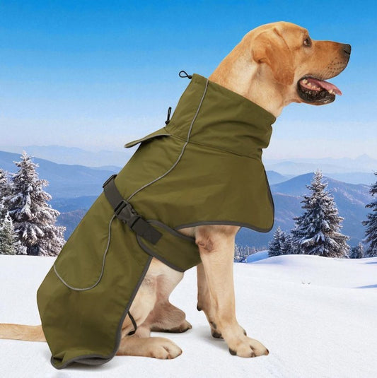 Medium And Large Dog Rain Coat