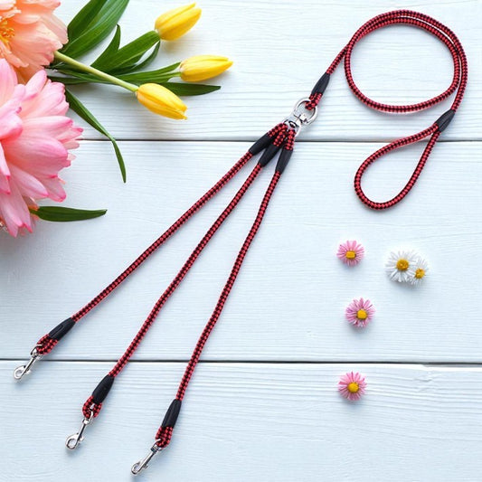 Triple Dog Leash