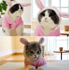 Cat Bunny Sweater