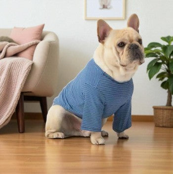 Casual Dog Clothes