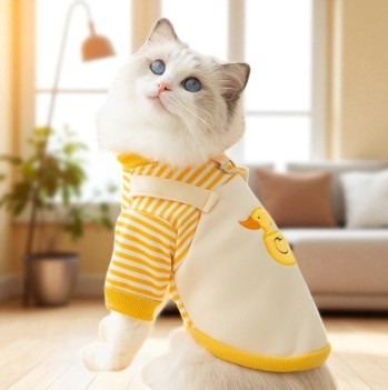 Thin Cat Pattern Sweater