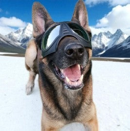 Dog Glasses Waterproof Snow Goggles