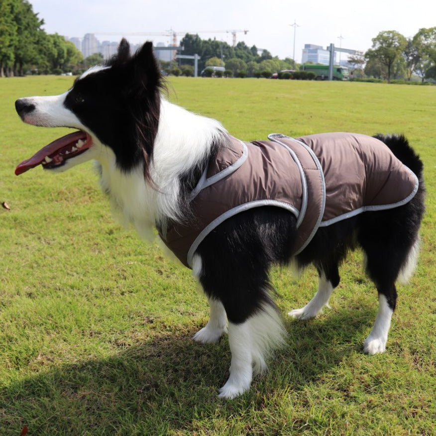 Cotton-padded Dog Coat