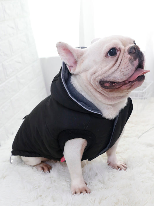 Thickened Padded Dog Jacket