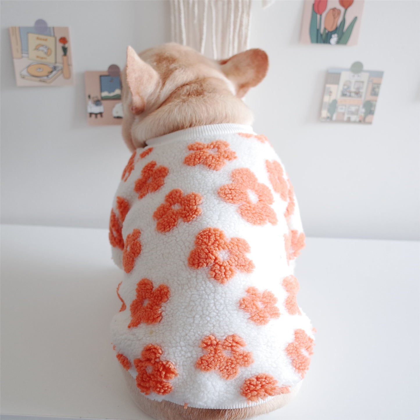 Winter Thickened Flower Plush Dog Clothes