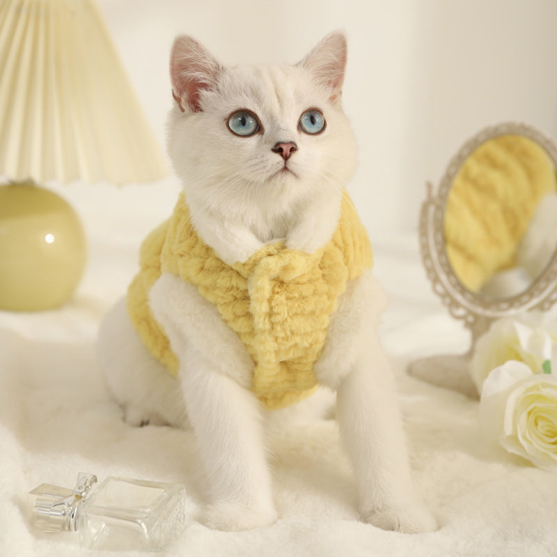 Warm Cat Cloth Sweater