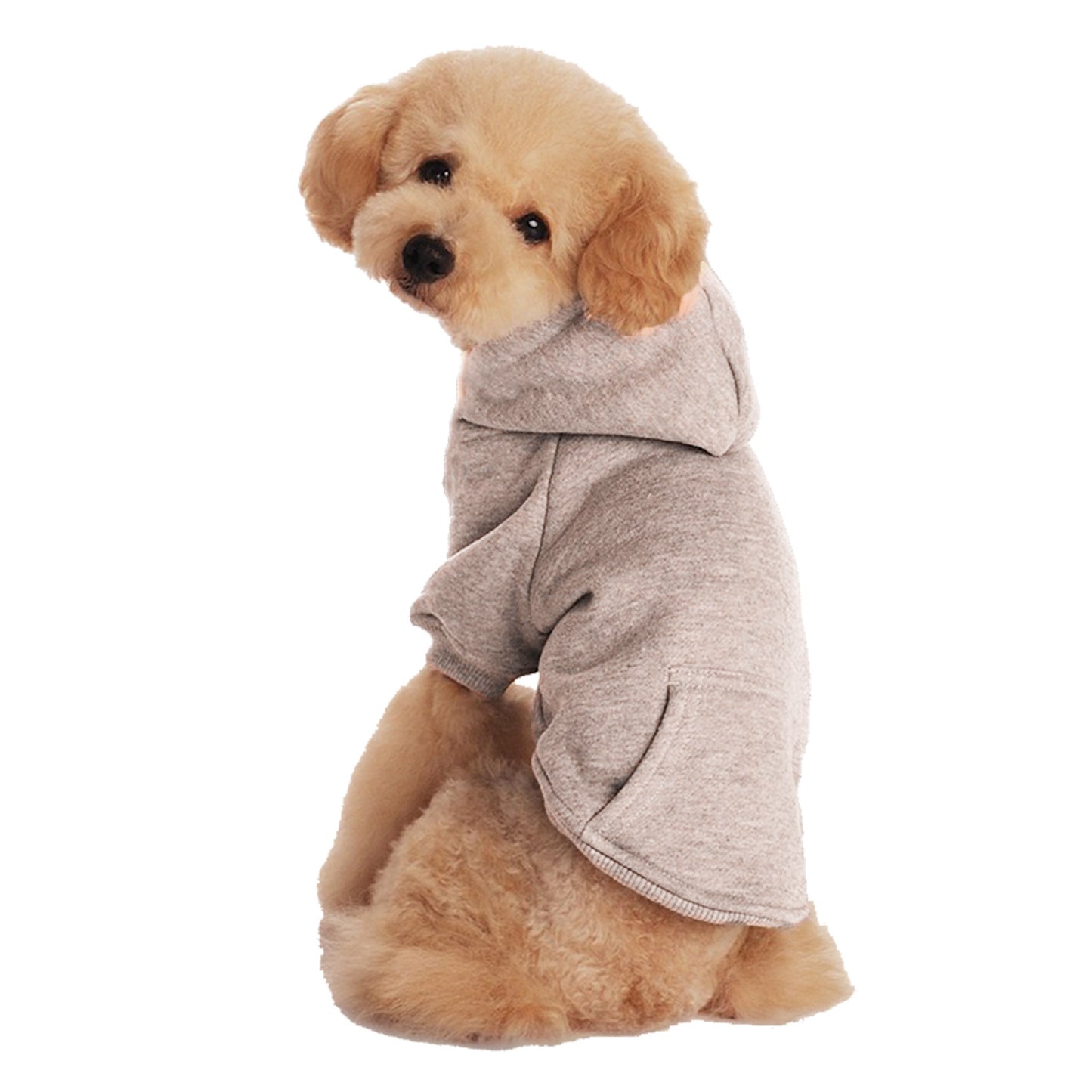 Small And Medium Sized Dogs & Cats Hoodie