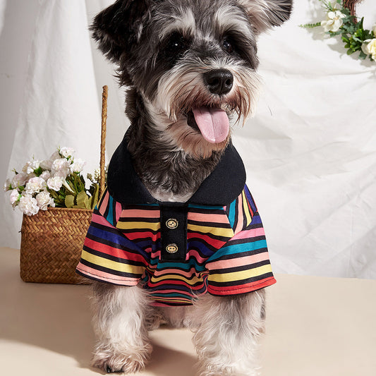 Striped POLO Shirt
