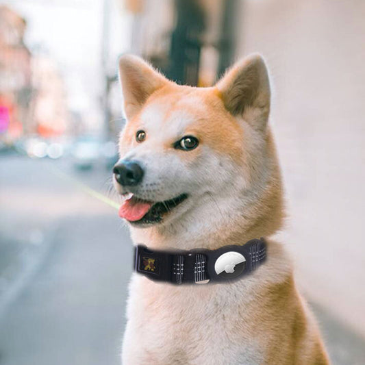 Dog Airtag Collar